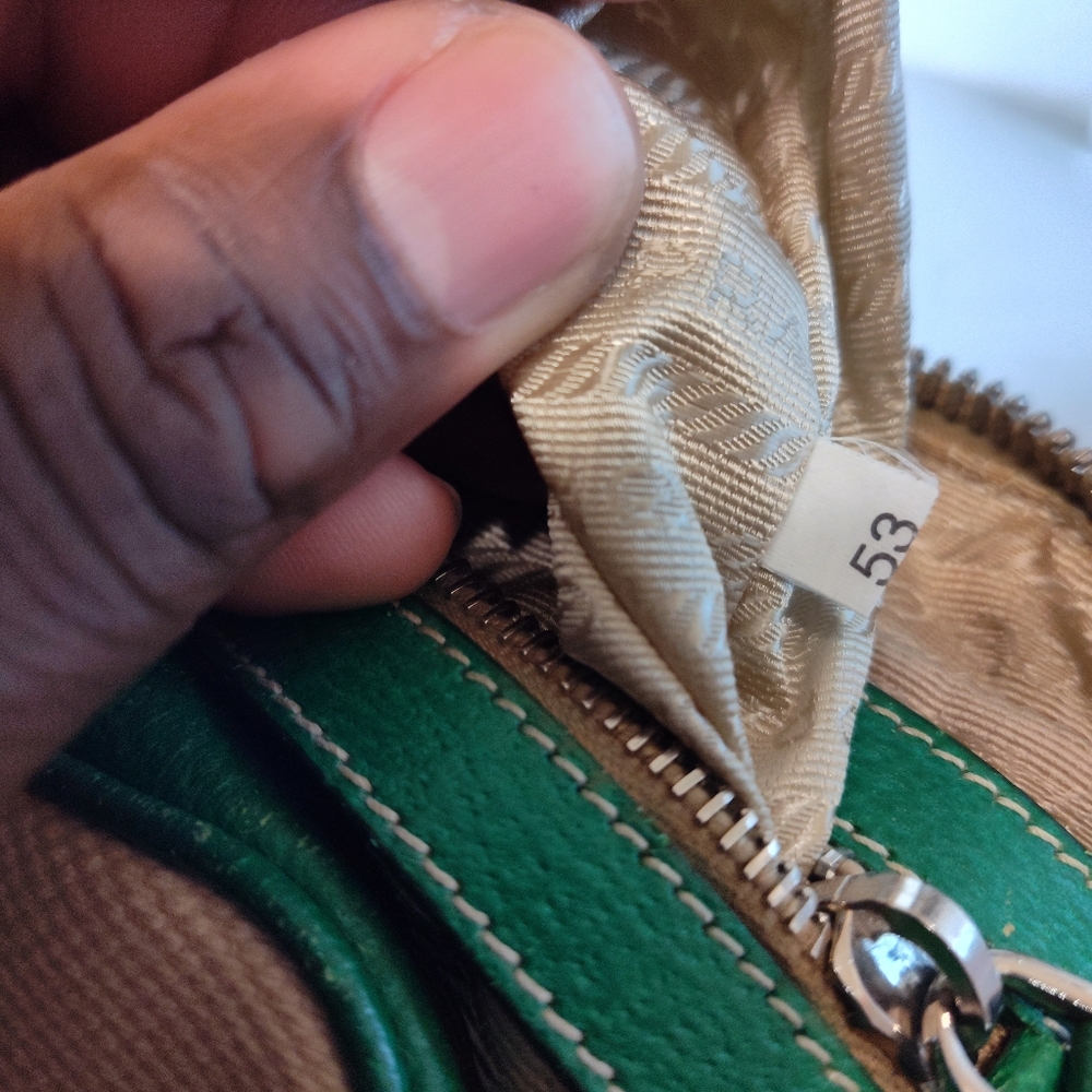 Prada Cinghiale Leather Trimmed Canapa Grezza Shoulder Bag Green Beige - Picture 12 of 13